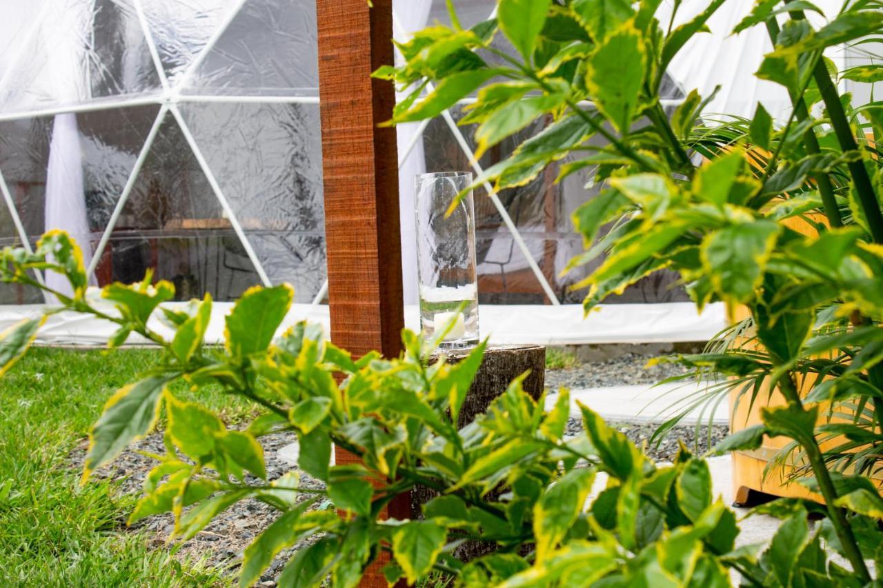 Orange Glamping Villa กิมบายา ภายนอก รูปภาพ