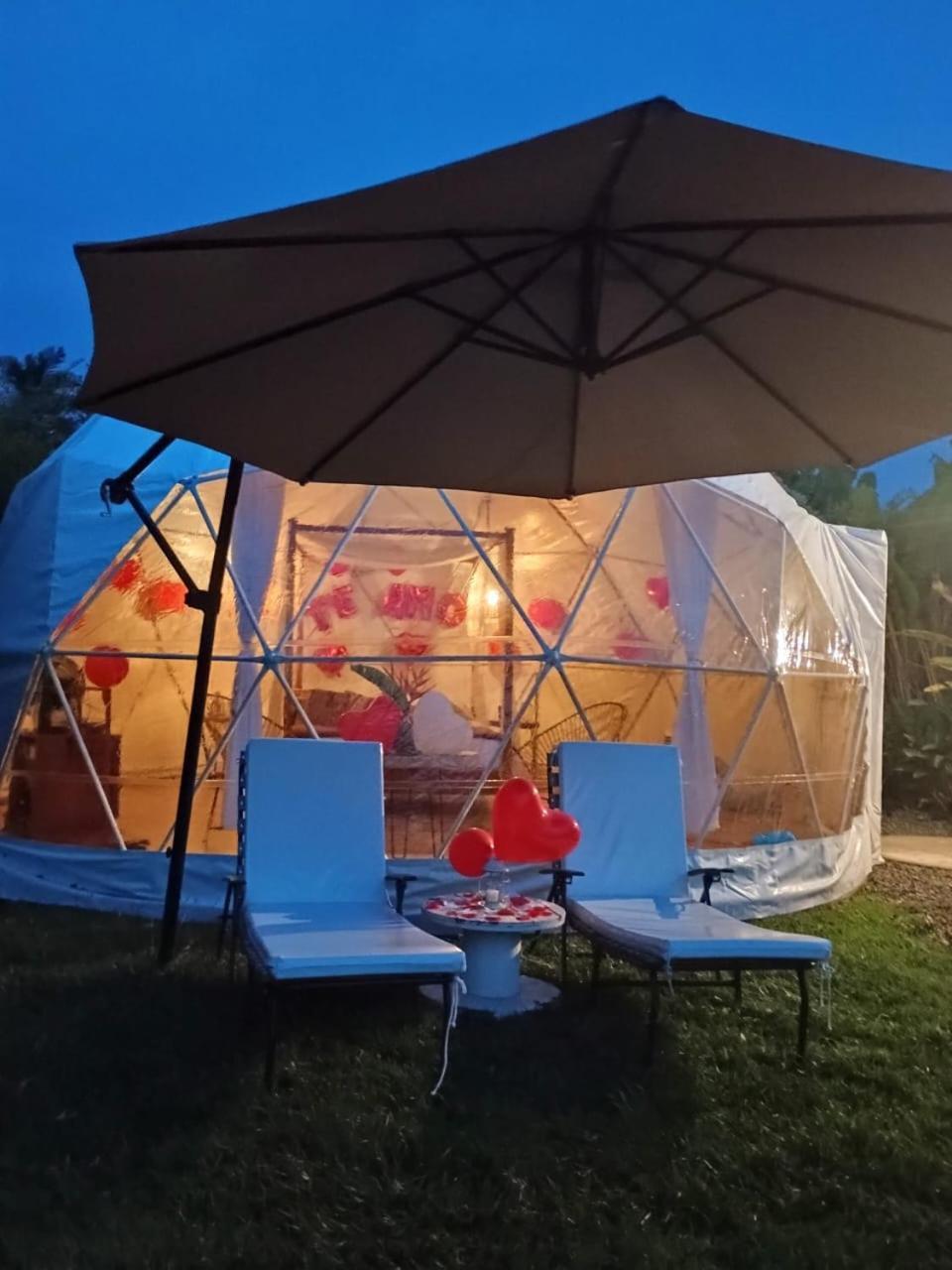 Orange Glamping Villa กิมบายา ภายนอก รูปภาพ
